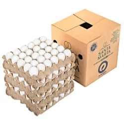 Carton de Huevos 