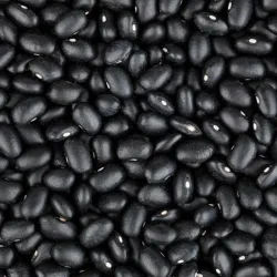 Frijoles Negros