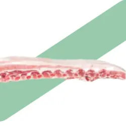 Costilla de Cerdo deshuesada con Piel