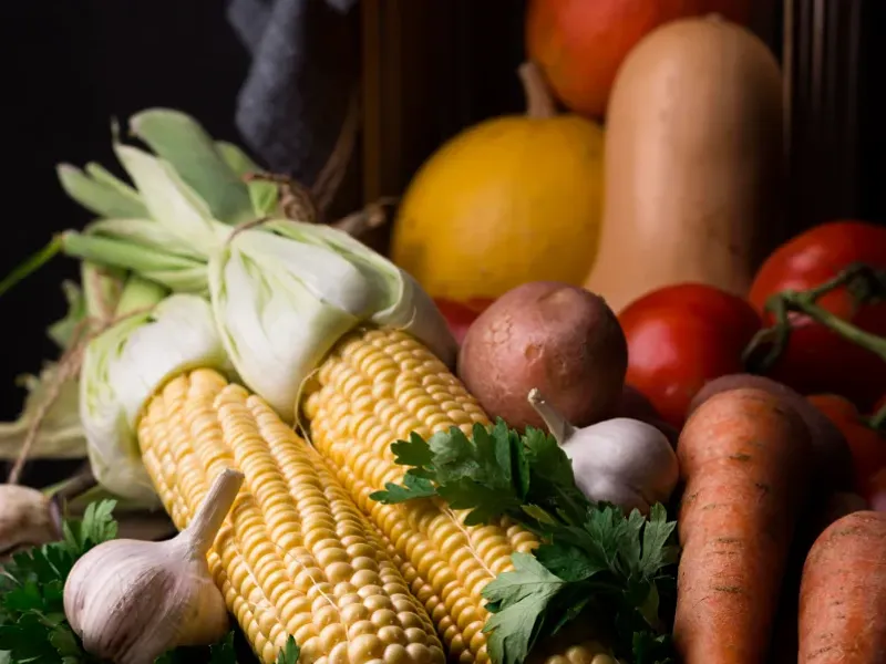 Productos de Agro 
