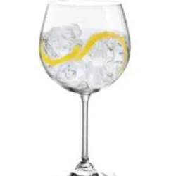 Gin Tonic