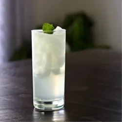 Gin Fizz