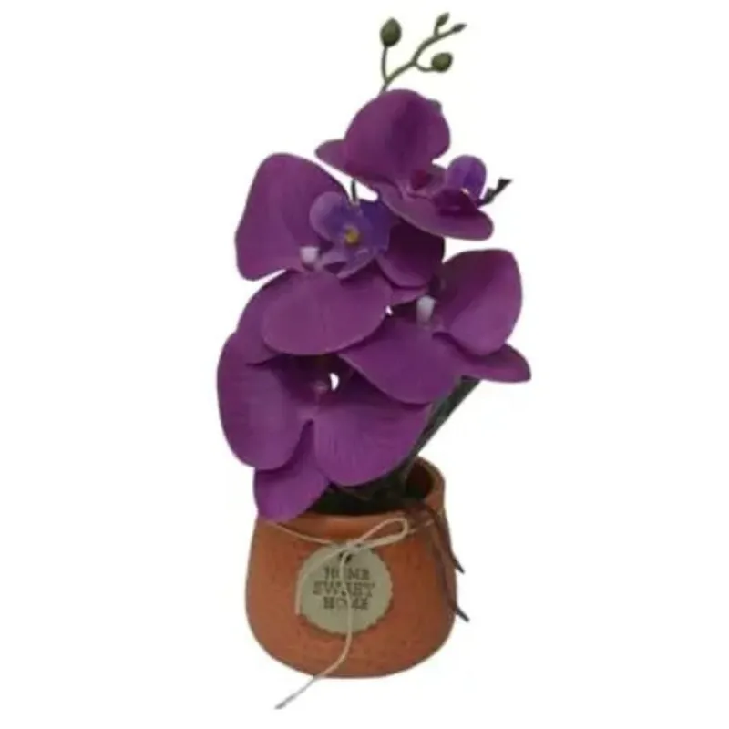 Flores Sweet Home