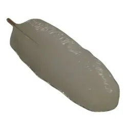 Hoja