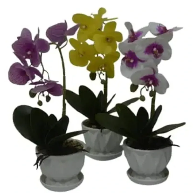 Orquídeas Artificiales