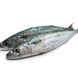 Pescado jurell entero 