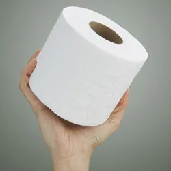 PAPEL SANITARIO 