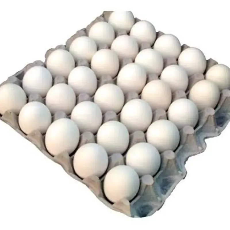 Huevo