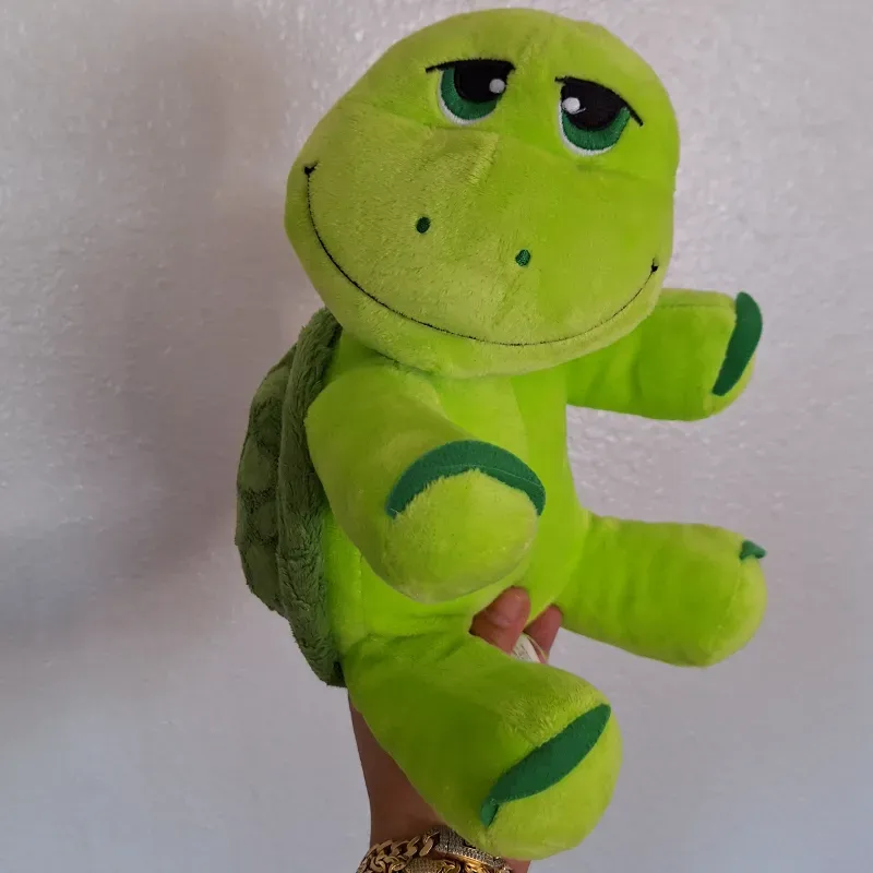 🐢🐢🐢🐢