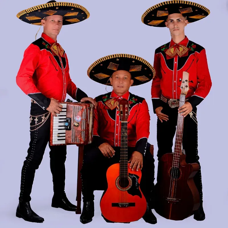 3️⃣ Mariachis 2️⃣ Oso Mariachis 🎶🎶