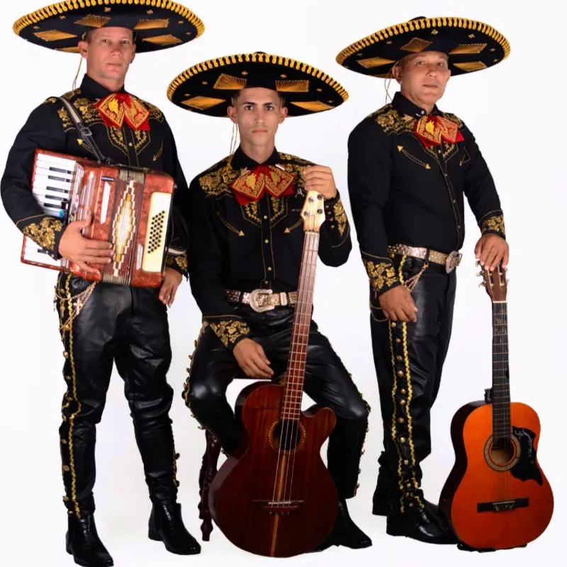 3️⃣ Mariachis 2️⃣ Oso Mariachis 🎶🎶