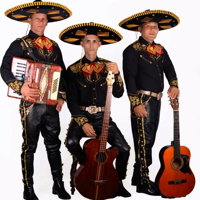 3️⃣ 🤍Mariachis 🎶🎶🎶