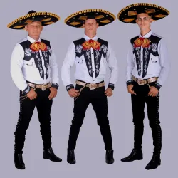 3️⃣ 🤍Mariachis 🎶🎶🎶