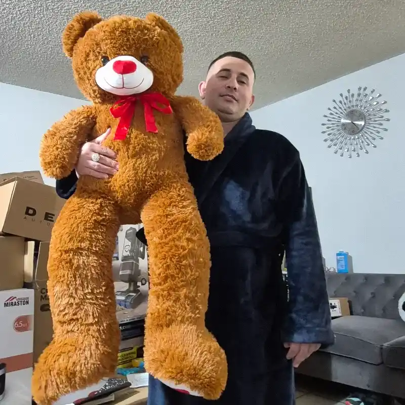 🐻🐻🐻🐻🐻🐻