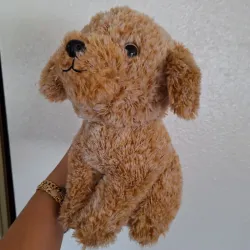 🐶🐶🐶🐶