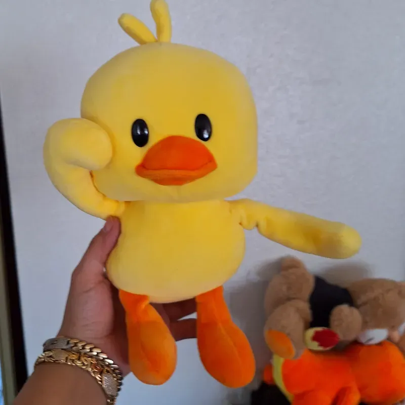 🐣🐣🐣🐣