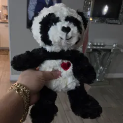 🐼🐼🐼🐼🐼
