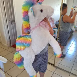 🦄🦄🦄🦄🦄🦄