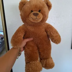 🐻🐻🐻🐻