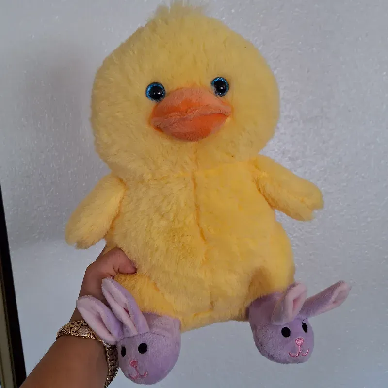 🐣🐣🐣🐣🐤🐥