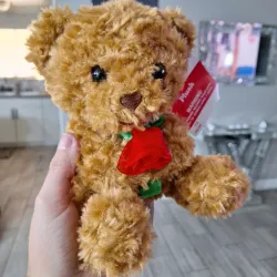 🤎🧸🤎🧸🤎🧸