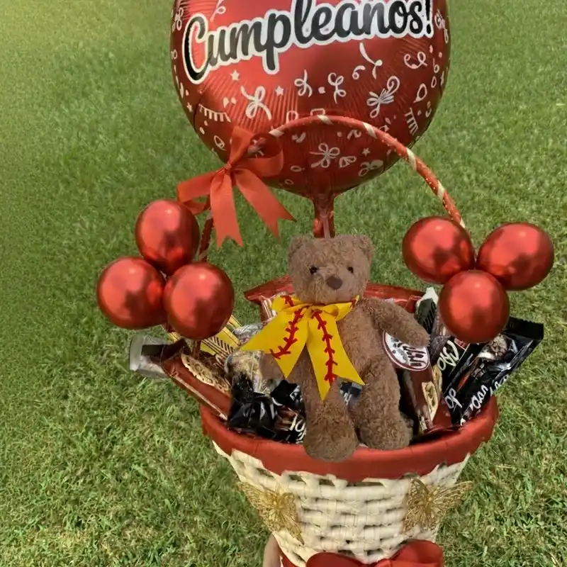 Cesta con Peluche 🧸🧸🍬🍭