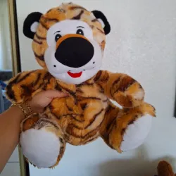 🐯🐯🐯🐯