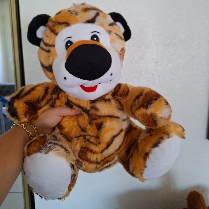 🐯🐯🐯🐯
