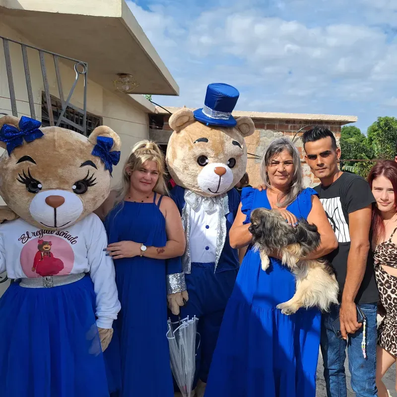 🐻💙🐻💙👌