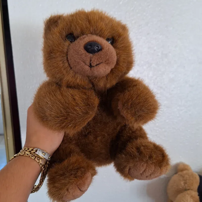 🐻🐻🐻🐻🐻