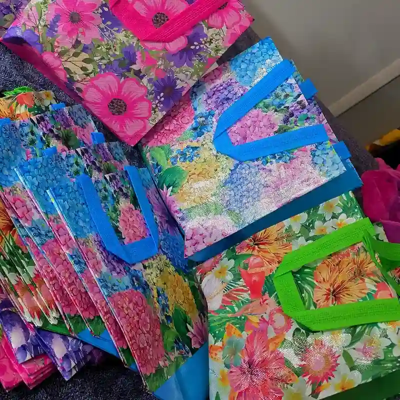 Bolsa de regalo 🎁 