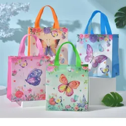 Bolsa de regalo 🎁 
