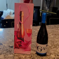 🛍Bolsa Para Botellas (solo LA Bolsa