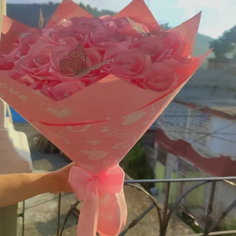 🩷🩷🩷🩷🩷🩷