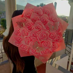 🩷🩷🩷🩷🩷🩷