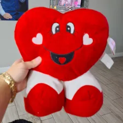 ❤️El corazón en un peluche 🧸