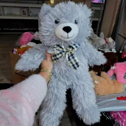 🩶🩶🩶🐻🐻🐻