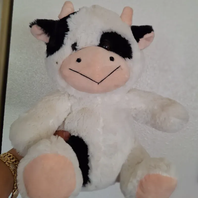 🐮🐮🐮🐮