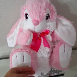🩷Hermosa Coneja Pink 🩷