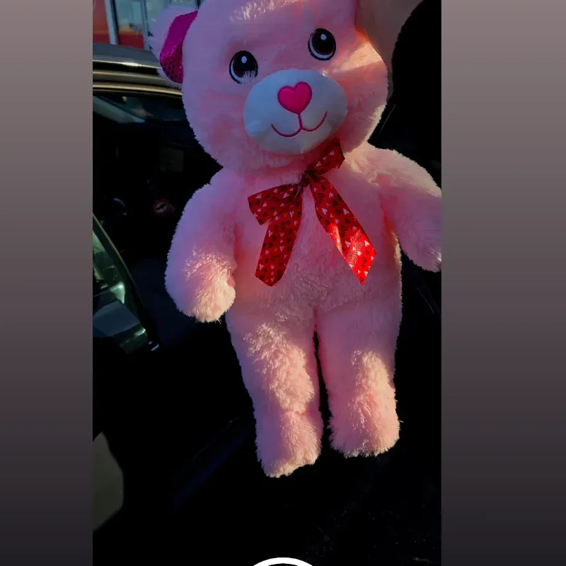 🩷🩷Hermoso Peluche grande 🩷🩷