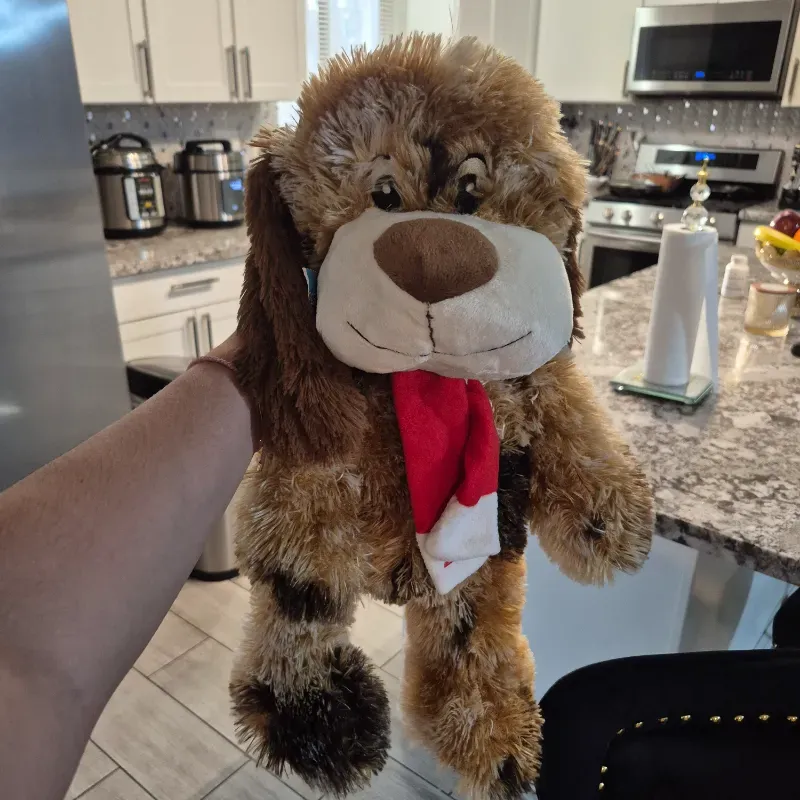 🎅😍Hermoso perrito navideño 