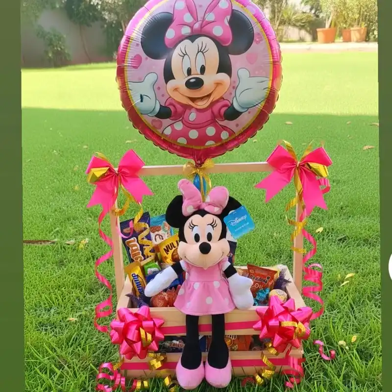 🩷Hermoso Regalo Minnie Mouse 🩷
