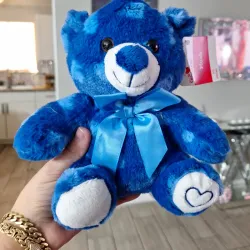 💙💙🐻🐻💙💙