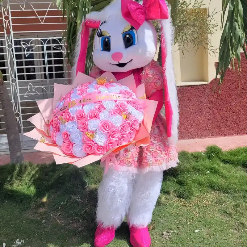 🩷La conejita Chanel 😍 Lo mas lindo del Regalos Soñado 🥹😅🤭