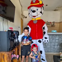 Marshall ( Patrulla canina) 