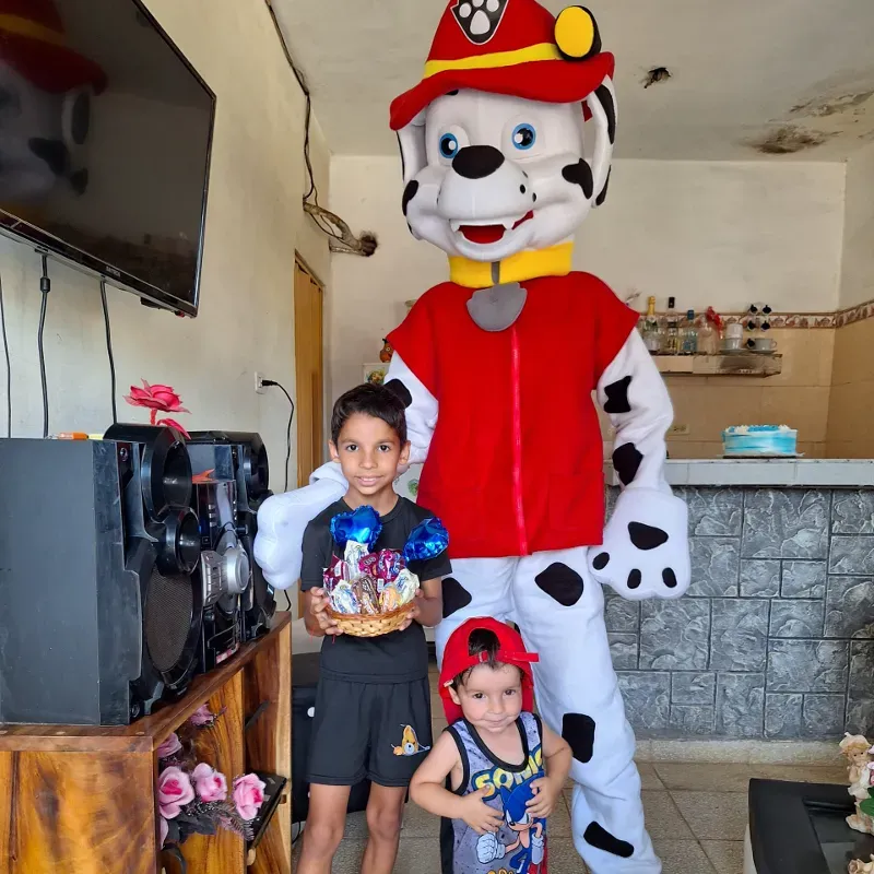 Marshall ( Patrulla canina) 