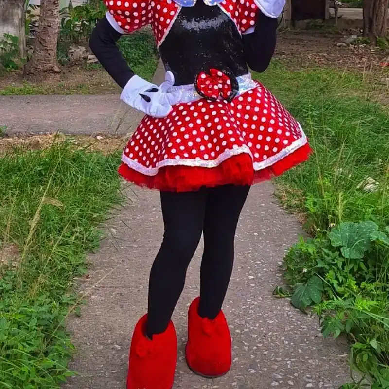 ❤️Minnie con vestido especial de lentejuela 