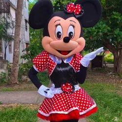 ❤️Minnie con vestido especial de lentejuela 