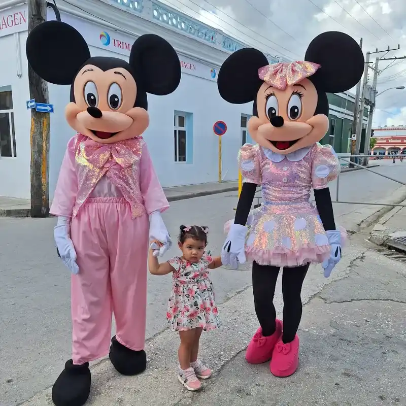🩷🩷Minnie Mouse y Mickey rosado 🩷🩷