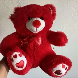 ❤️Oso rojo❤️